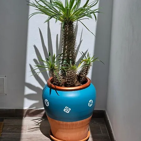 Casa Buenavista Agaete Сasa de vacaciones